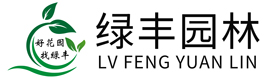 ƶ