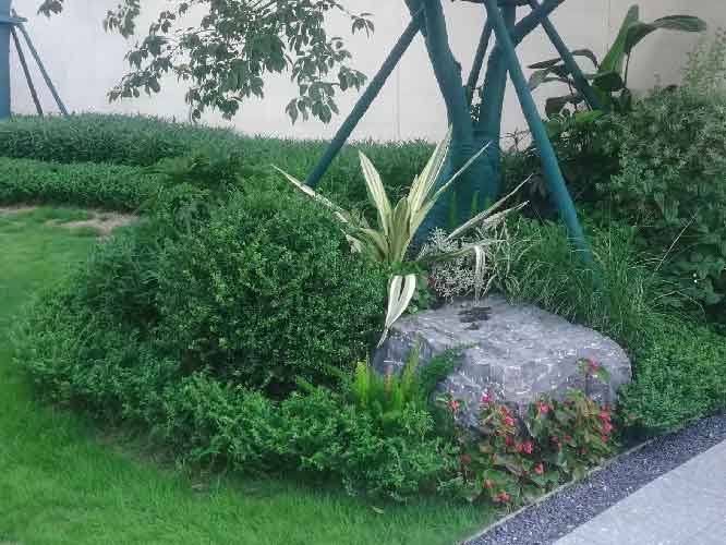 �ִ�԰�־�����ƵĴ��似��