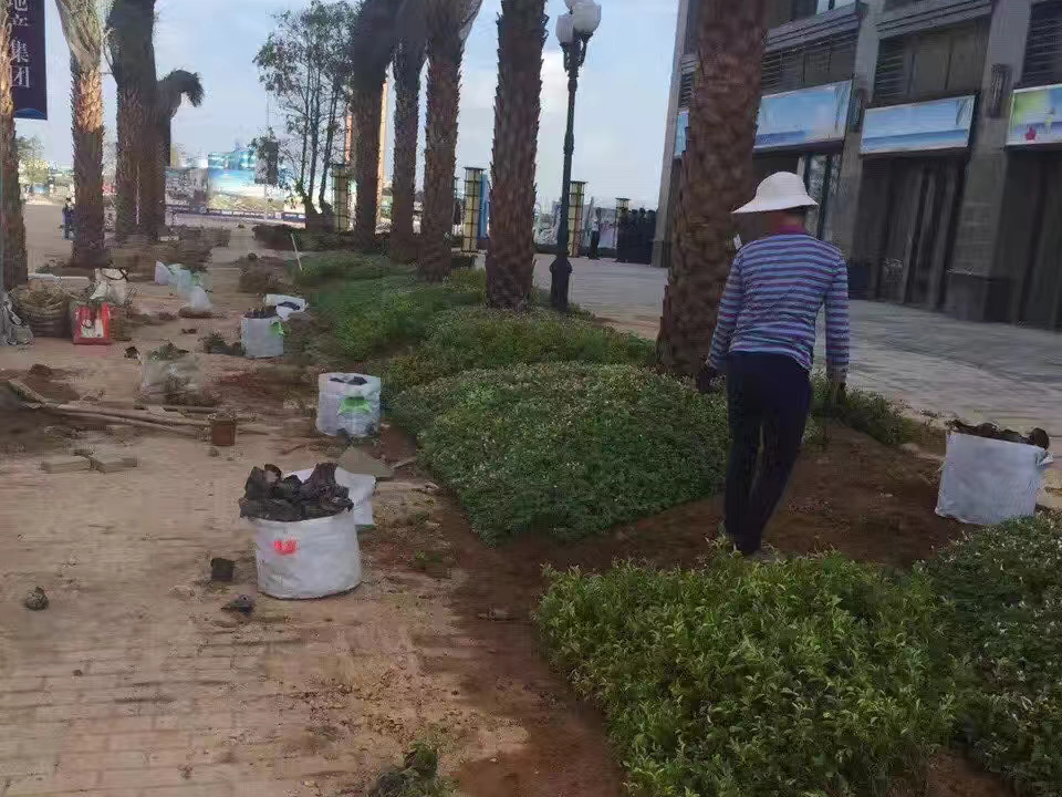 �������ƶ�����԰�֡�����ĳС���̻��ֳ�